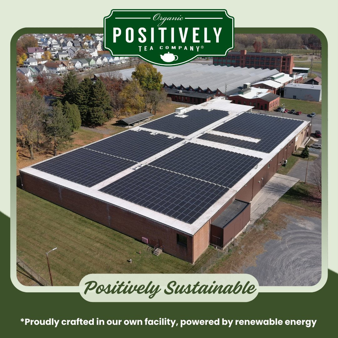 Organic Spearmint Green - Loose Leaf Tea