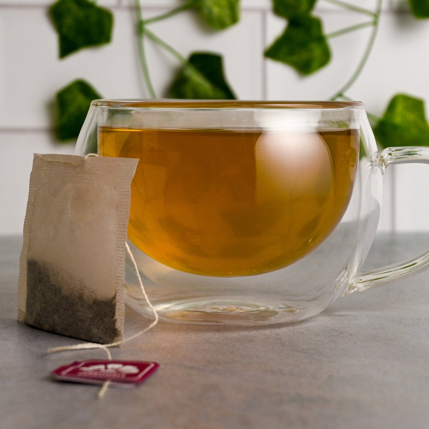 Organic Soursop - Botanical Tea Bags