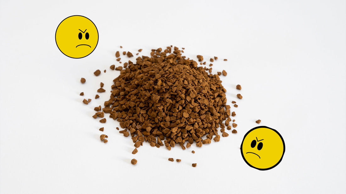 Gen Z Hates Instant Coffee, Milk Frothing Automation, and Fermented Profiles