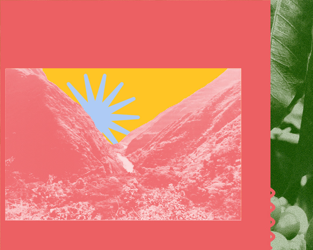 Collage of a half-tone valley on a red and yellow background, a blue star, and a green half-tone coffee plant.