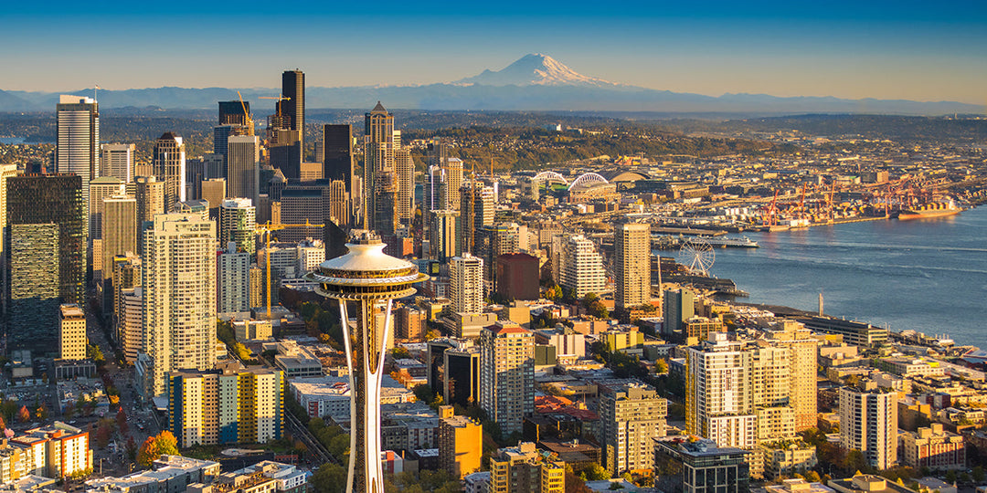 Fresh Roasted Coffee at the Specialty Coffee Expo
