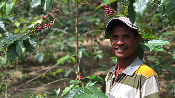 Timor-Leste Farmgate Ducurai - Café Brisa Serena