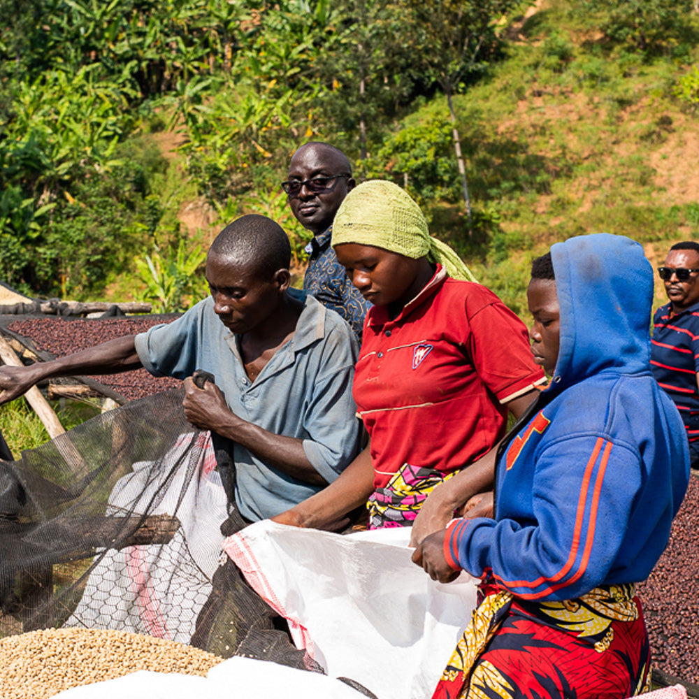 Roaster's Choice Coffee Subscription