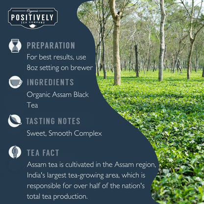 Organic Assam - Classic Tea Pods