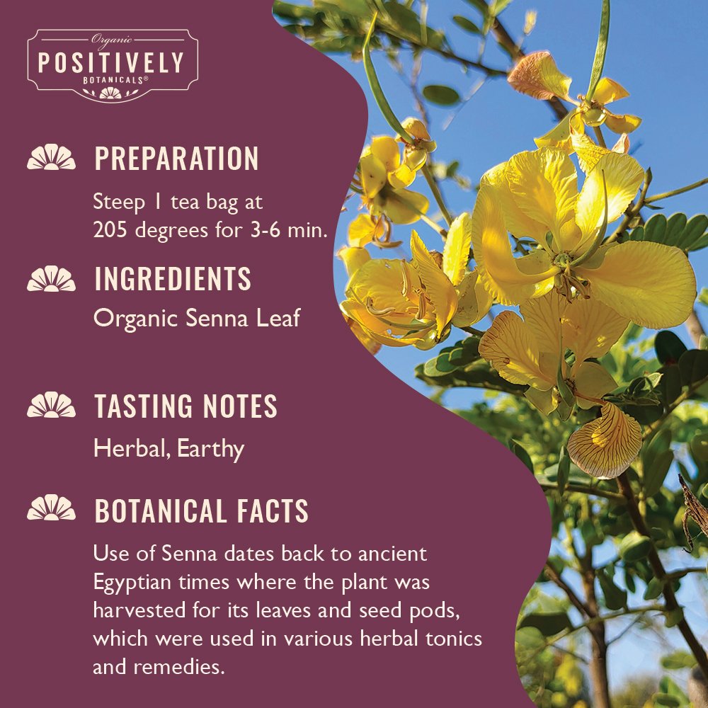 Organic Senna Leaf - Botanical Tea Bags