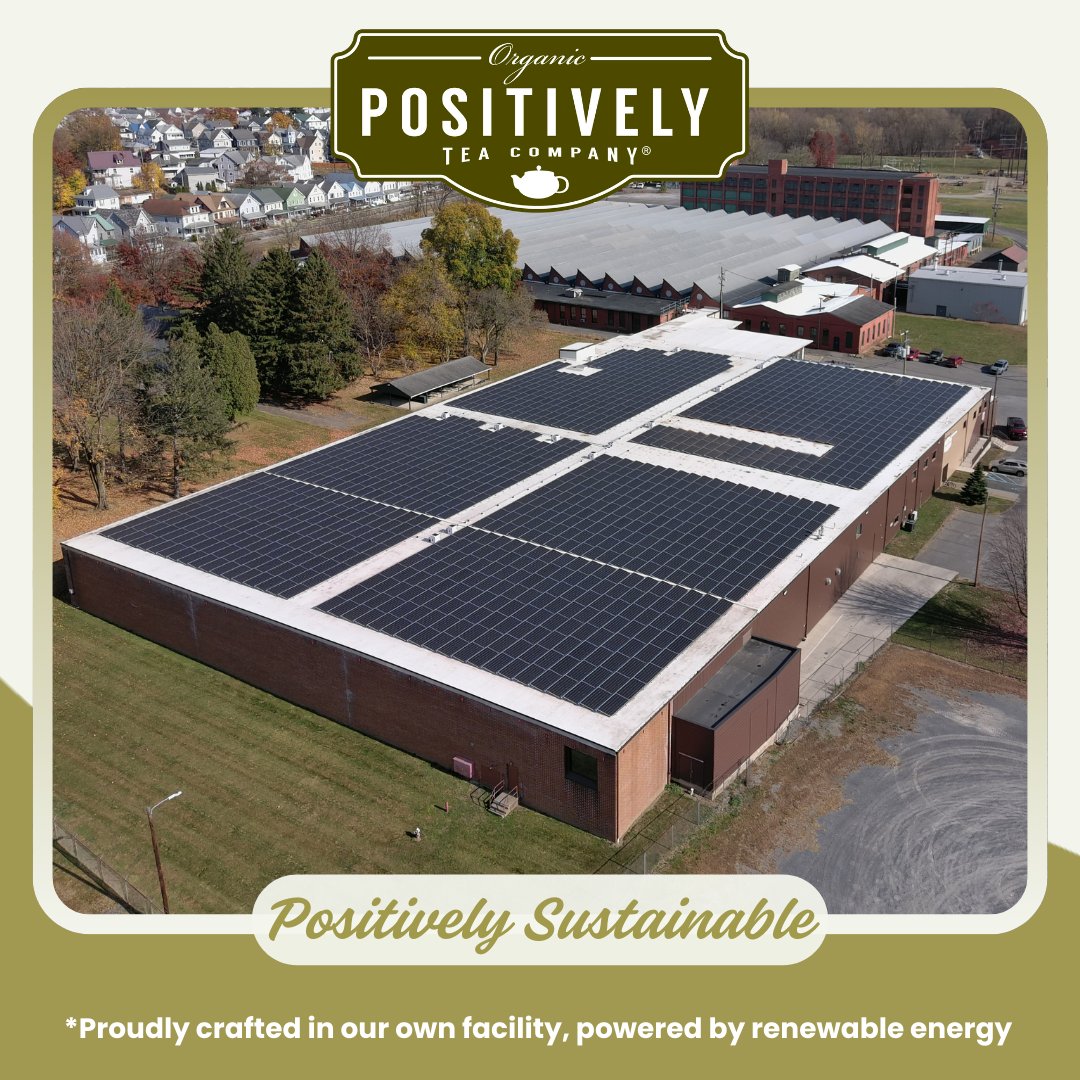 Minty Mate - Loose Leaf Tea