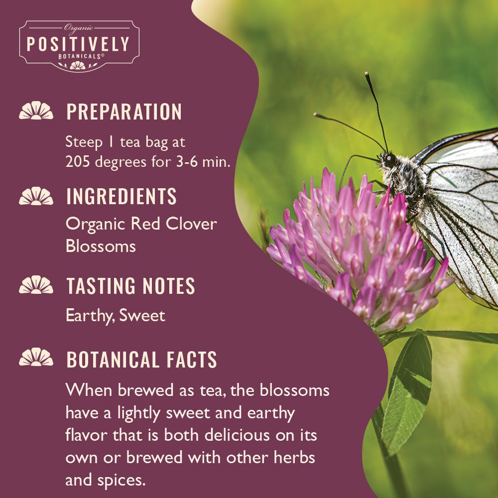 Organic Red Clover Blossoms - Botanical Tea Bags