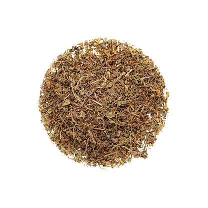 Organic Gotu Kola - Botanical Tea Bags