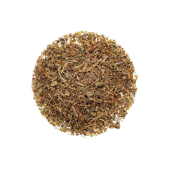 Organic Gotu Kola - Botanical Tea Bags