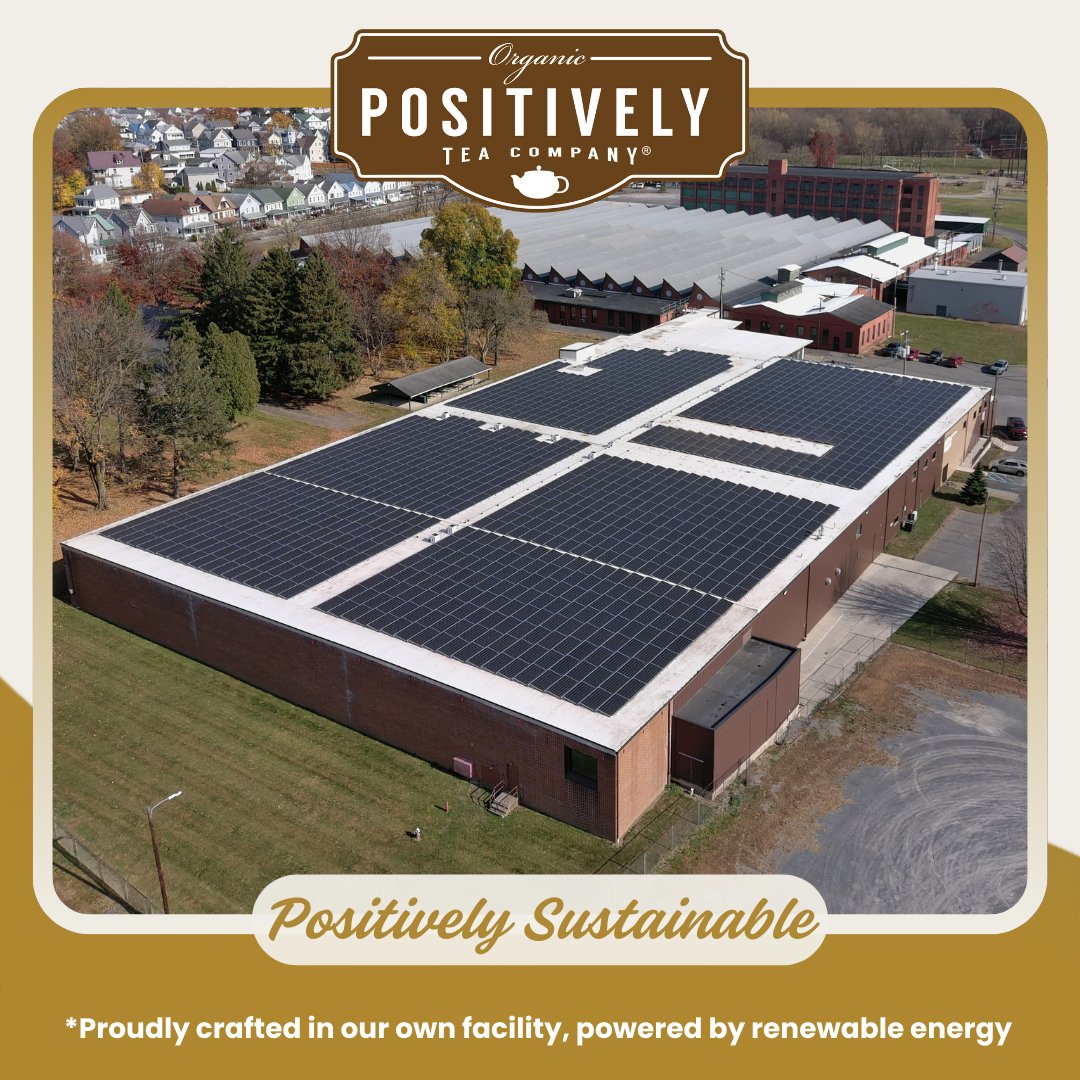 Peach Oolong - Tea Bags