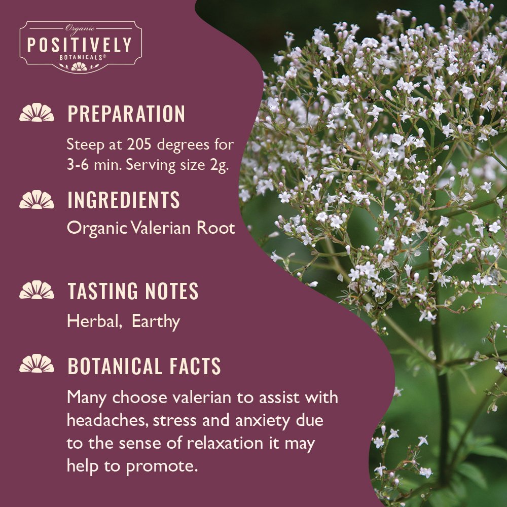 Organic Valerian Root - Botanical Tea Bags