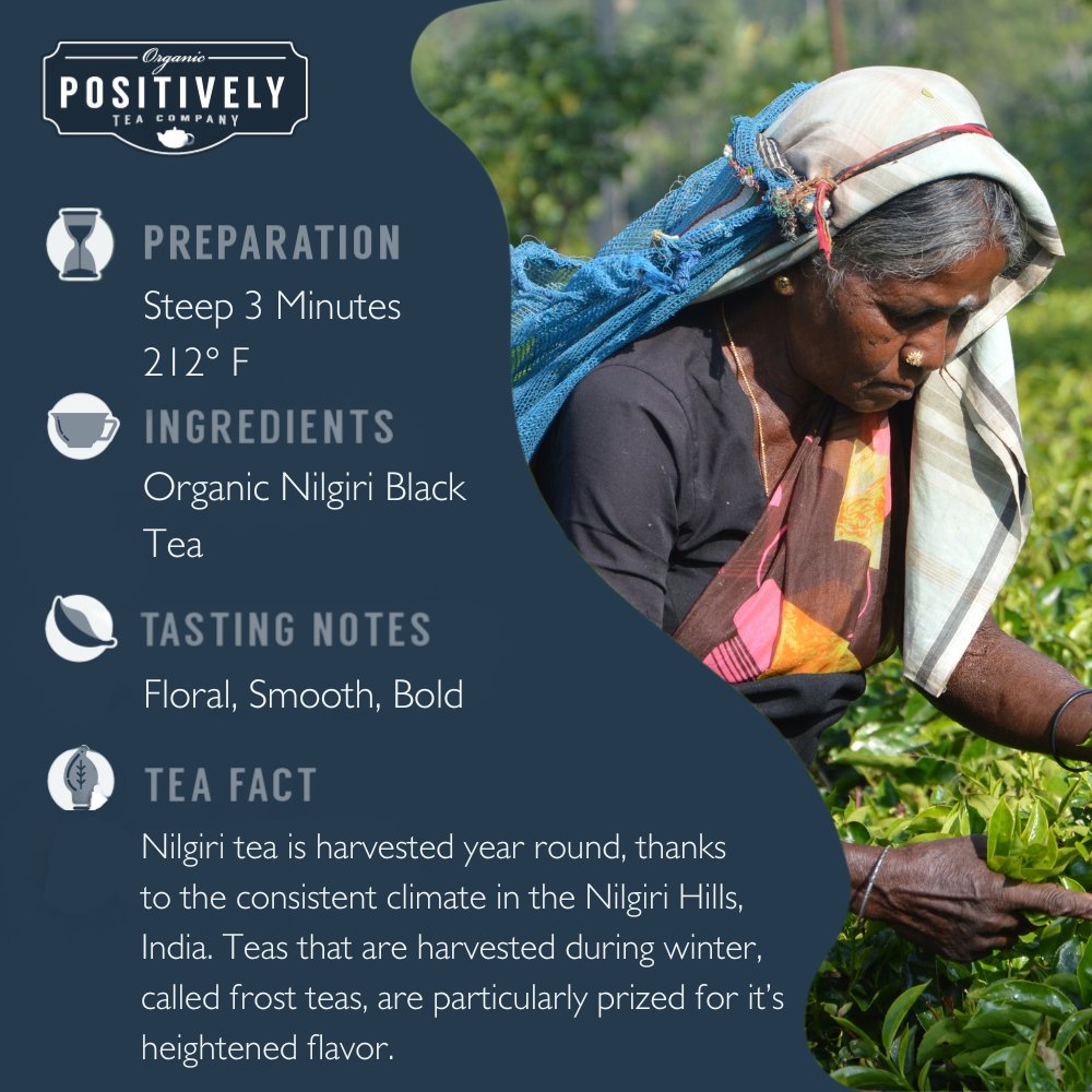 Nilgiri FBOP - Loose Leaf Tea