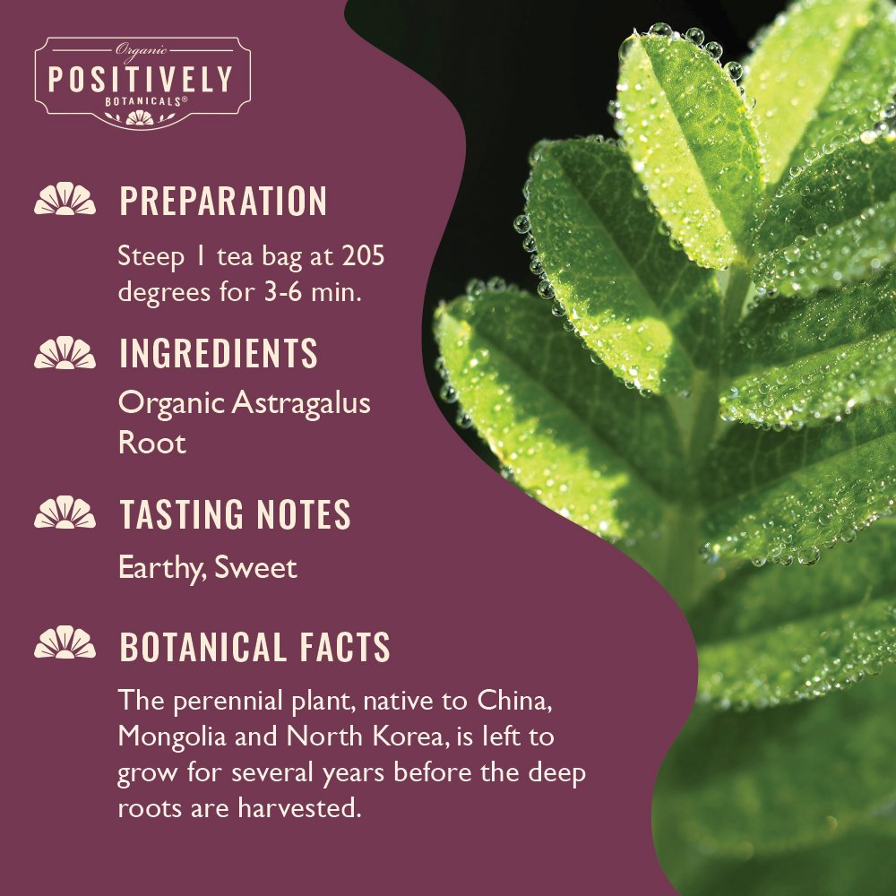 Organic Astragalus Root - Botanical Tea Bags