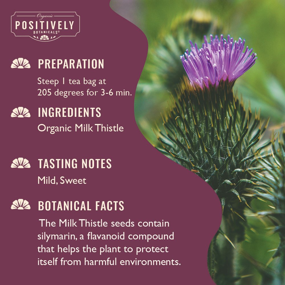 Organic Milk Thistle - Botanical Tea Bags