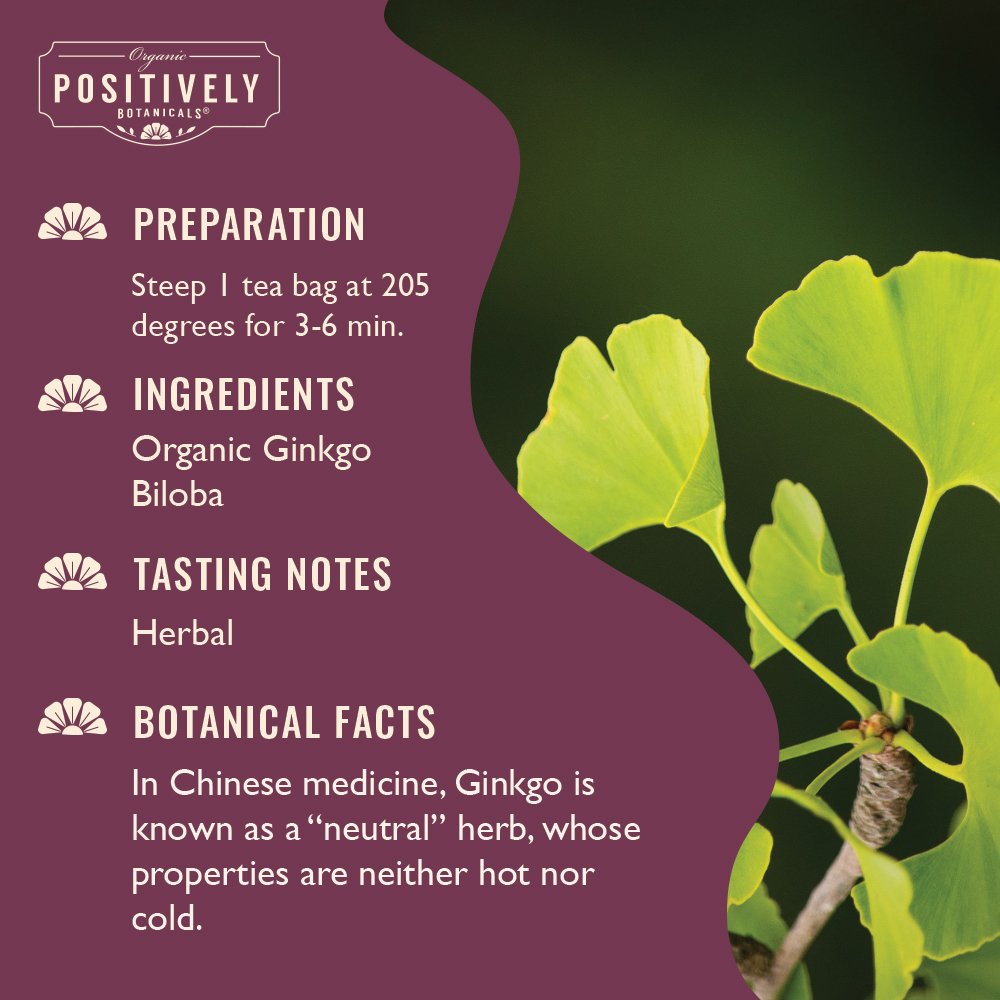 Organic Ginkgo Biloba - Botanical Tea Bags