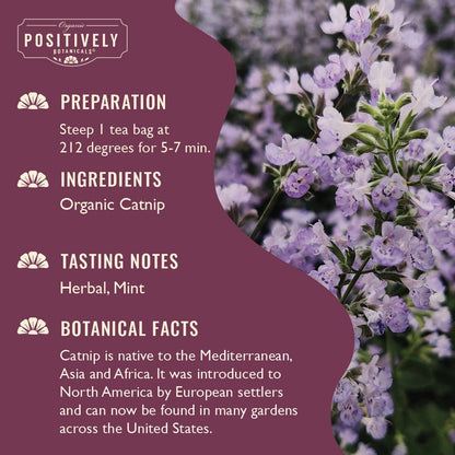 Organic Catnip - Botanical Tea Bags