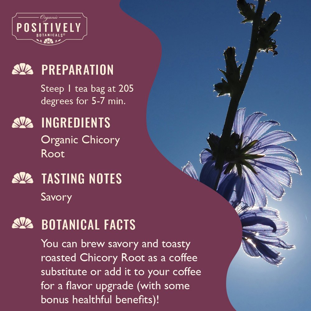 Chicory Root - Botanical Tea Bags