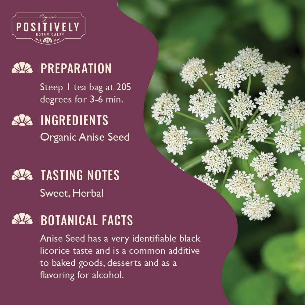 Anise Seed - Botanical Tea Bags