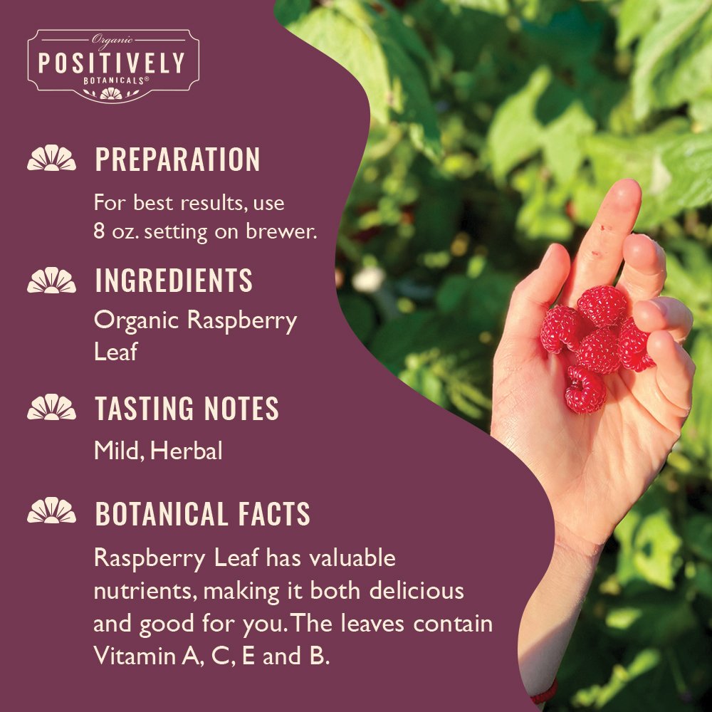 Organic Raspberry Leaf - Botanical Tea Pods