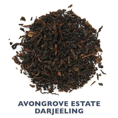 Organic Indian Tea Bundle - Loose Leaf Tea