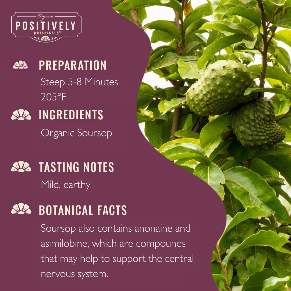 Organic Soursop - Botanical Tea Bags