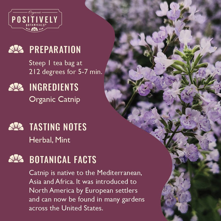 Catnip - Botanical Tea Bags