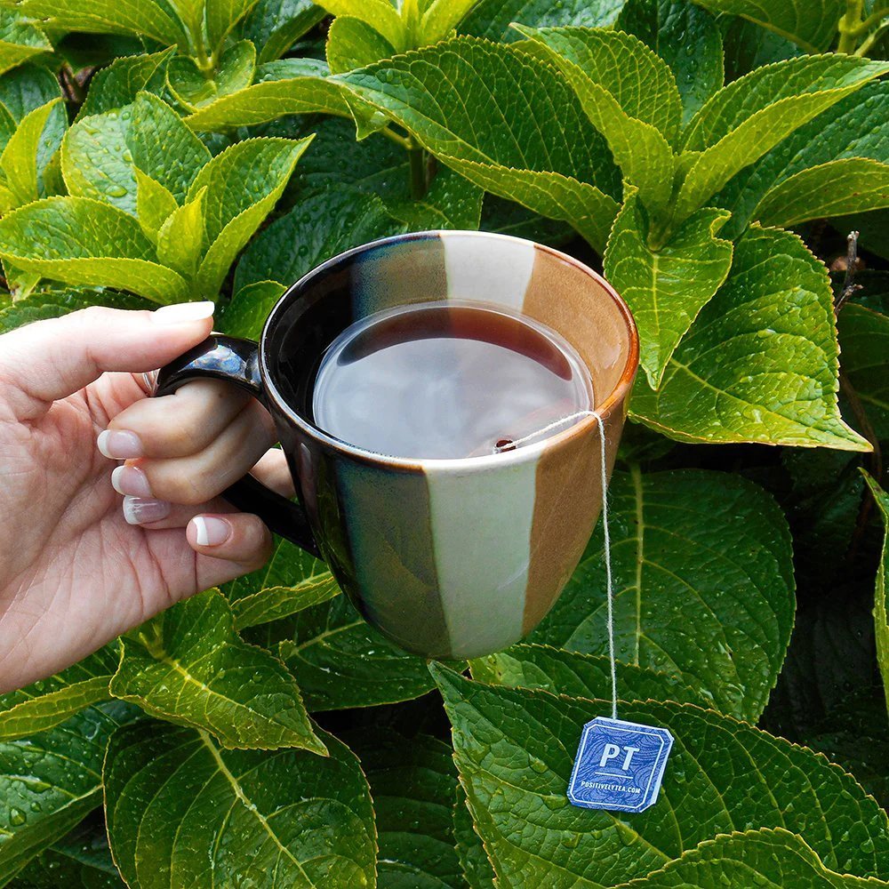 Organic Flavored Black Tea Bundle - Loose Leaf Tea