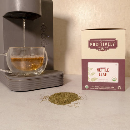 Organic Nettle Leaf - Botanical Tea Pods