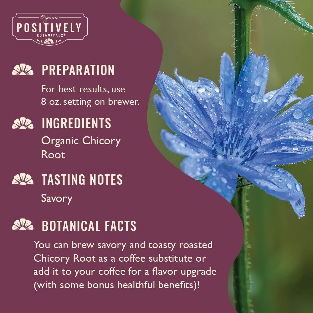 Chicory Root - Botanical Tea Pods