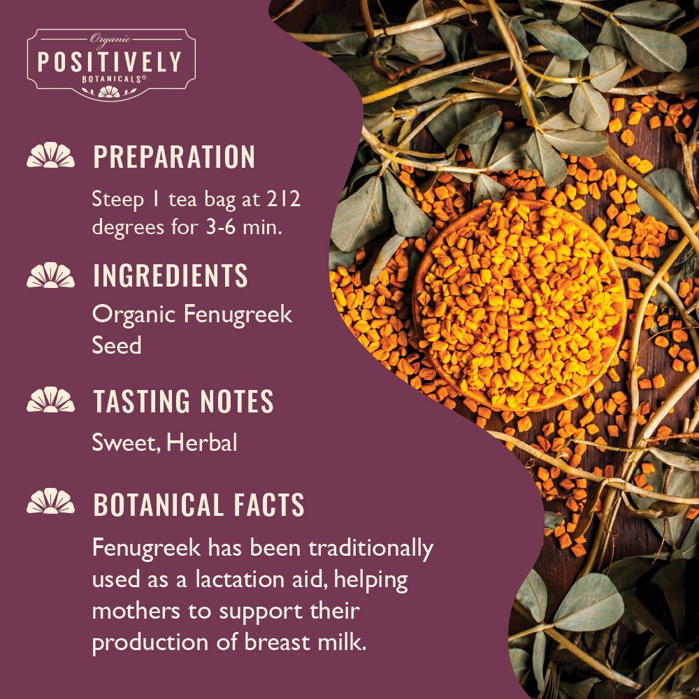 Organic Fenugreek Seed - Botanical Tea Bags
