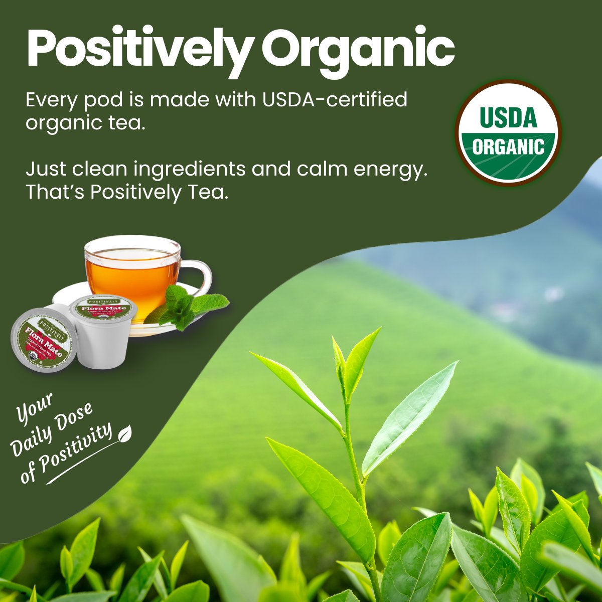 Organic Organic Flora Mate - Classic Tea Pods