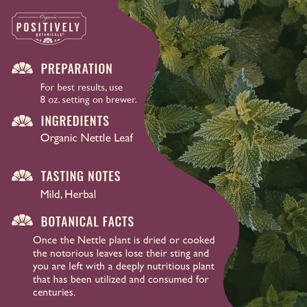 Nettle Leaf - Botanical Tea Pods