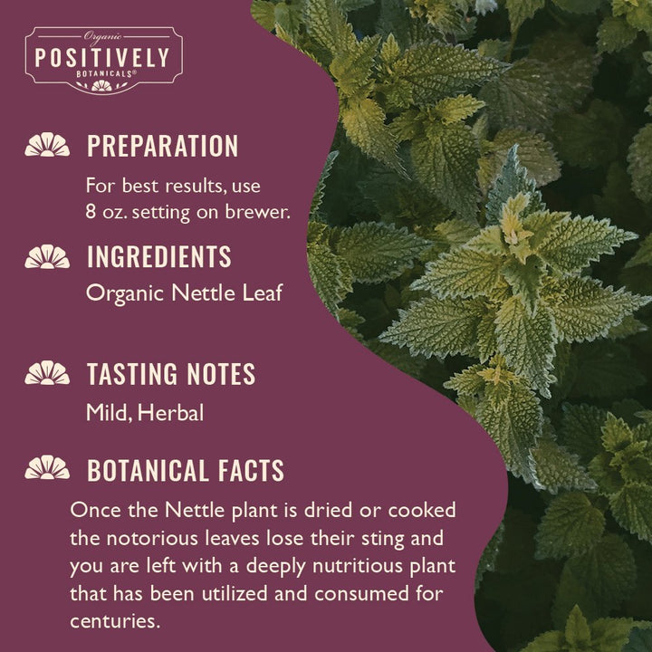 Nettle Leaf - Botanical Tea Pods