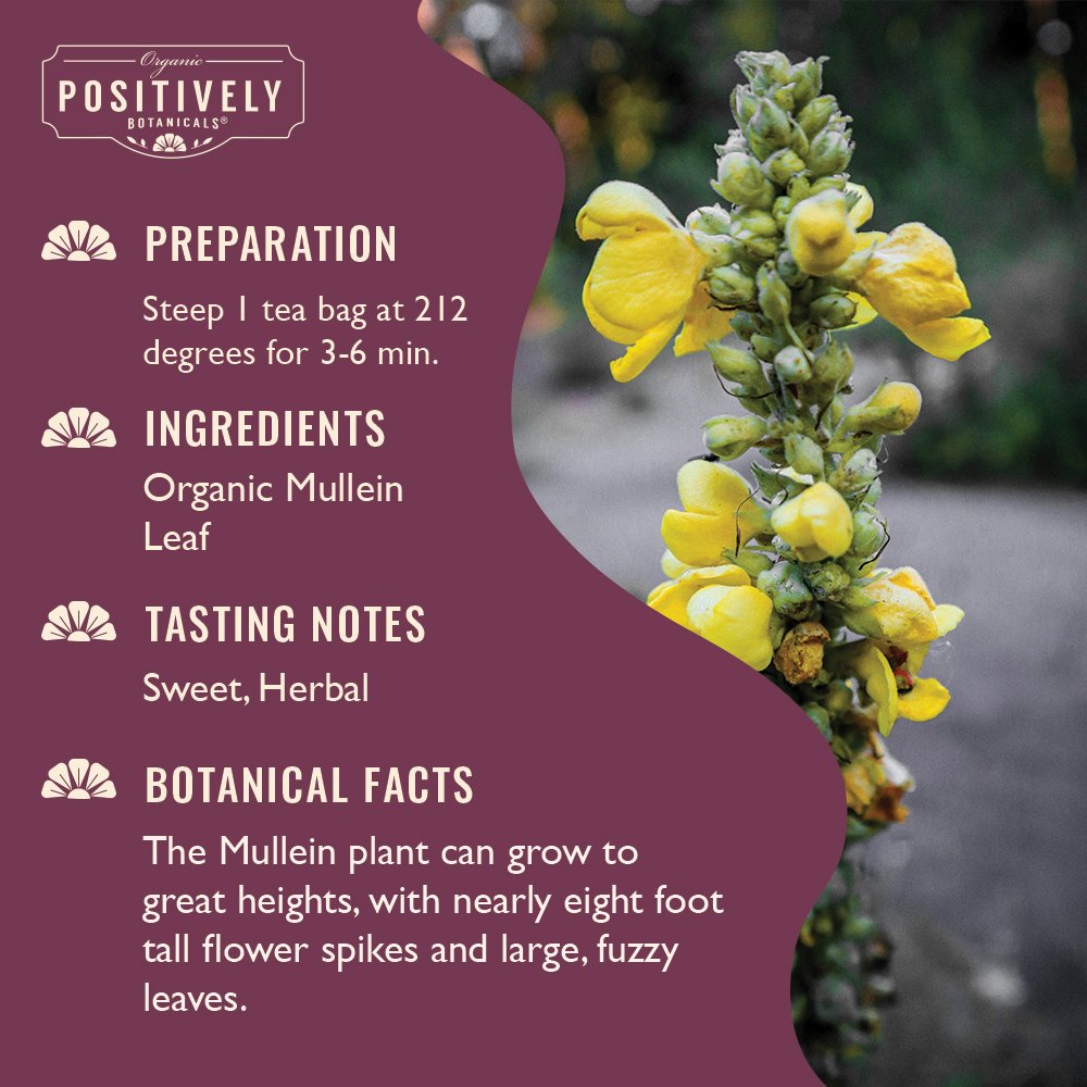 Organic Mullein Leaf - Botanical Tea Bags