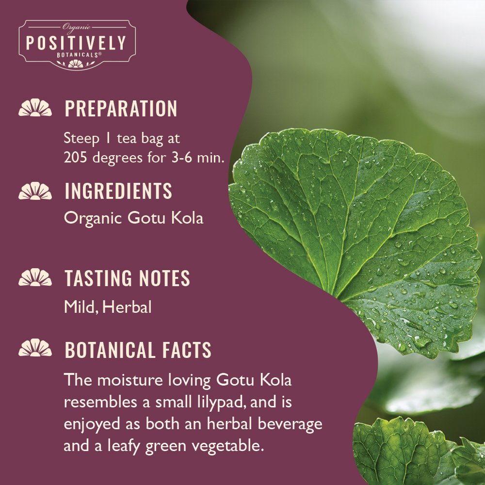 Organic Gotu Kola - Botanical Tea Bags
