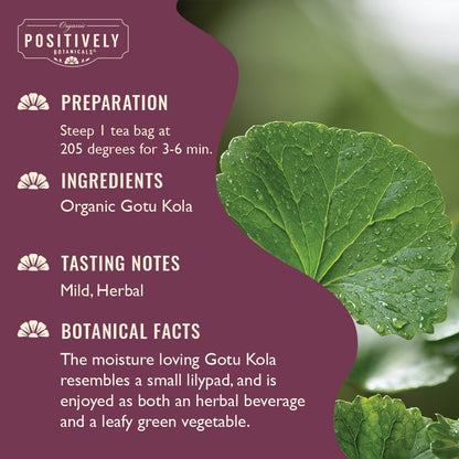 Organic Gotu Kola - Botanical Tea Bags