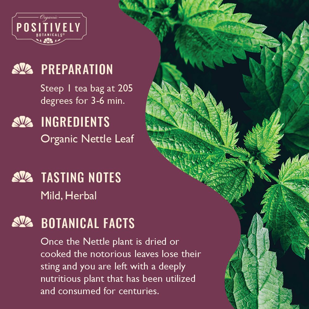 Organic Nettle Leaf - Botanical Tea Bags