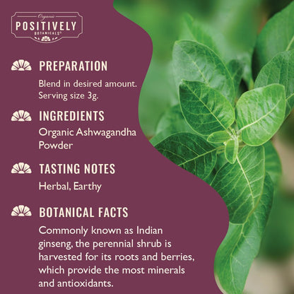 Organic Ashwagandha - Botanical Tea Bags
