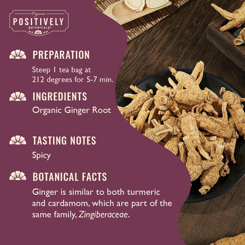 Ginger Root - Botanical Tea Bags