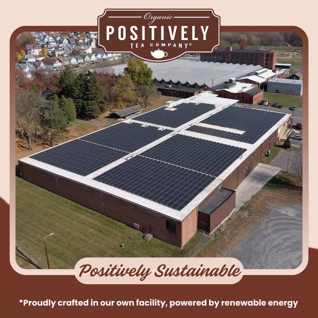 Organic Pu-Erh - Tea Bags