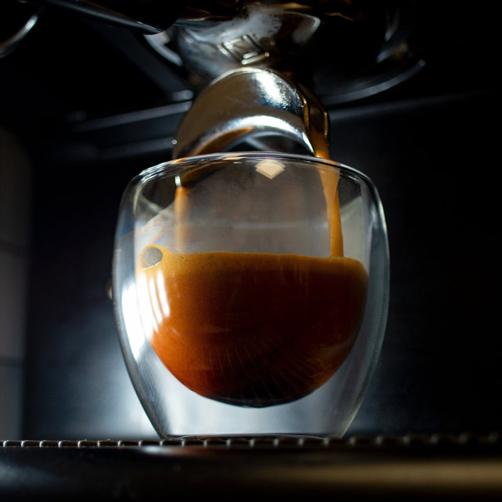 Organic Single Origin Favorites  - Espresso Variety Pack