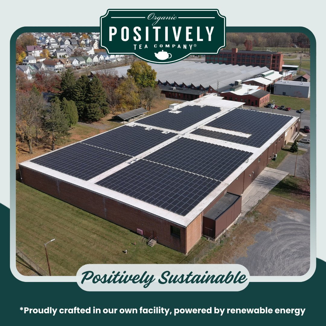 Organic Hibiscus Tisane - Loose Leaf Tisane