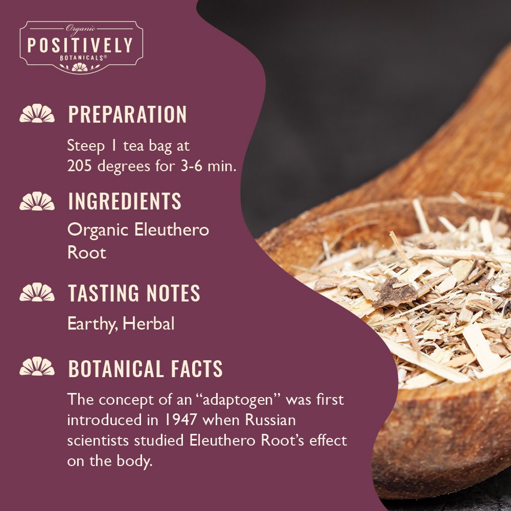 Organic Eleuthero Root - Botanical Tea Bags