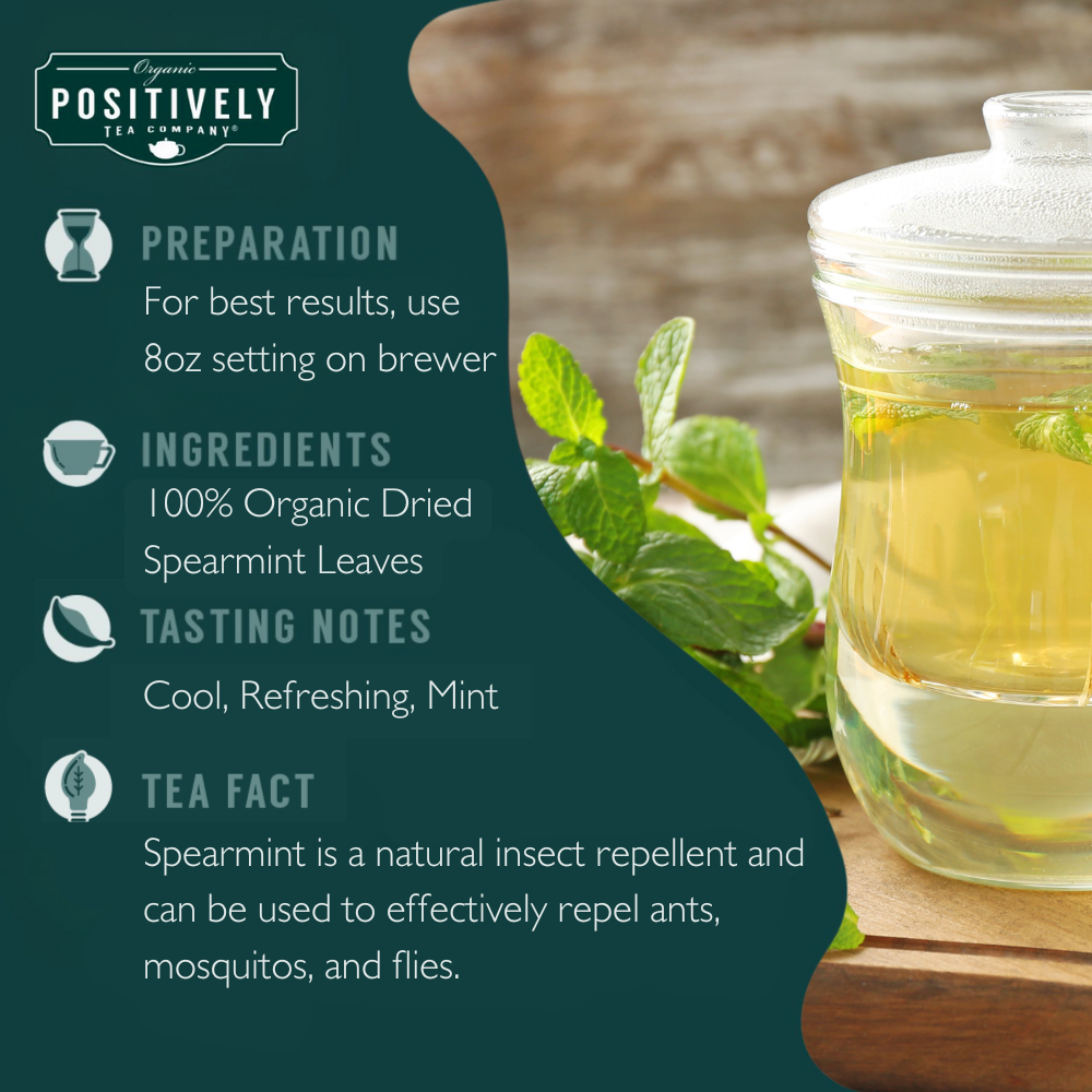 Organic Spearmint Leaf Herbal - Classic Tea Pods
