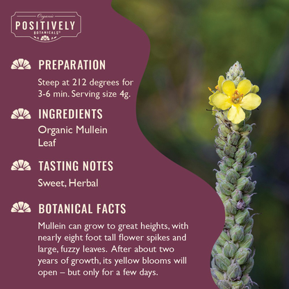 Organic Mullein Leaf - Loose Leaf Botanical