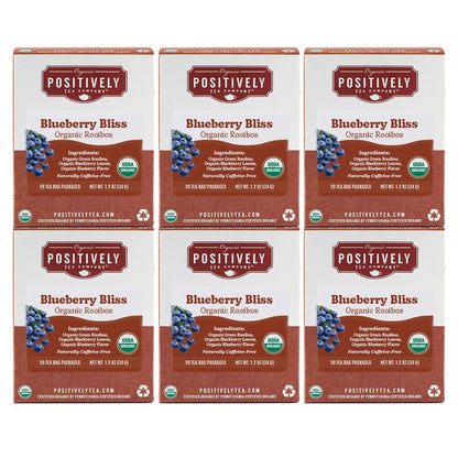 Organic Blueberry Bliss - Tea Bags
